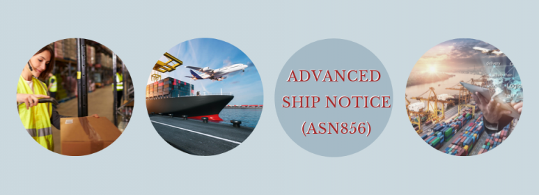 What is Advanced Ship Notice (ASN) 856 transaction set?