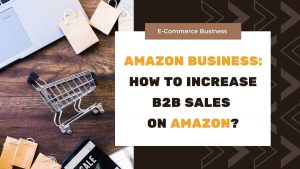 Amazon B2B Sales