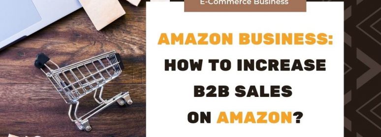 Amazon B2B Sales