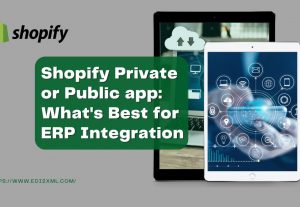 Shopify Public app or Private app