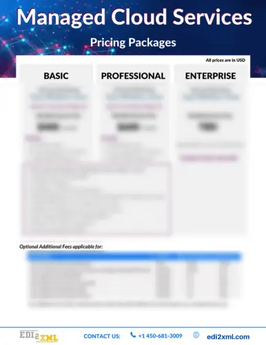 Cloud Managed Service - price